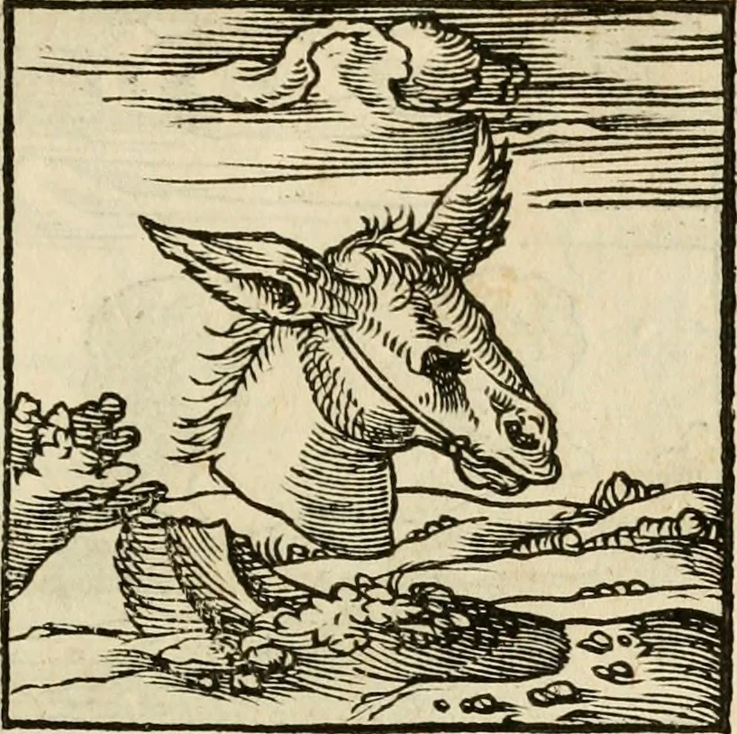 An illustration from Horou Apollonos neiloou Hieroglyphika = Ori Apollinis niliaci, De sacris notis & sculpturis libri duo, 1551, leaf 64