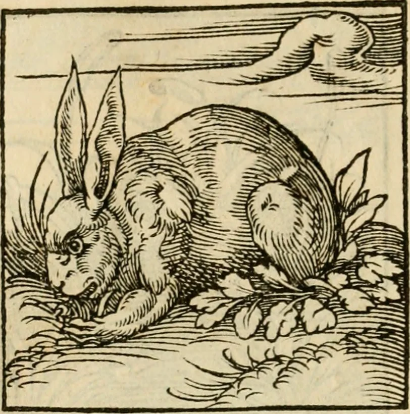 An illustration from Horou Apollonos neiloou Hieroglyphika = Ori Apollinis niliaci, De sacris notis & sculpturis libri duo, 1551, leaf 67
