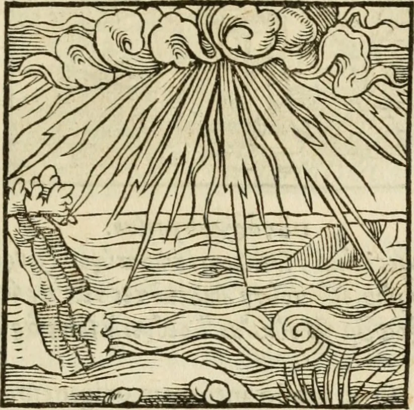 An illustration from Horou Apollonos neiloou Hieroglyphika = Ori Apollinis niliaci, De sacris notis & sculpturis libri duo, 1551, leaf 70
