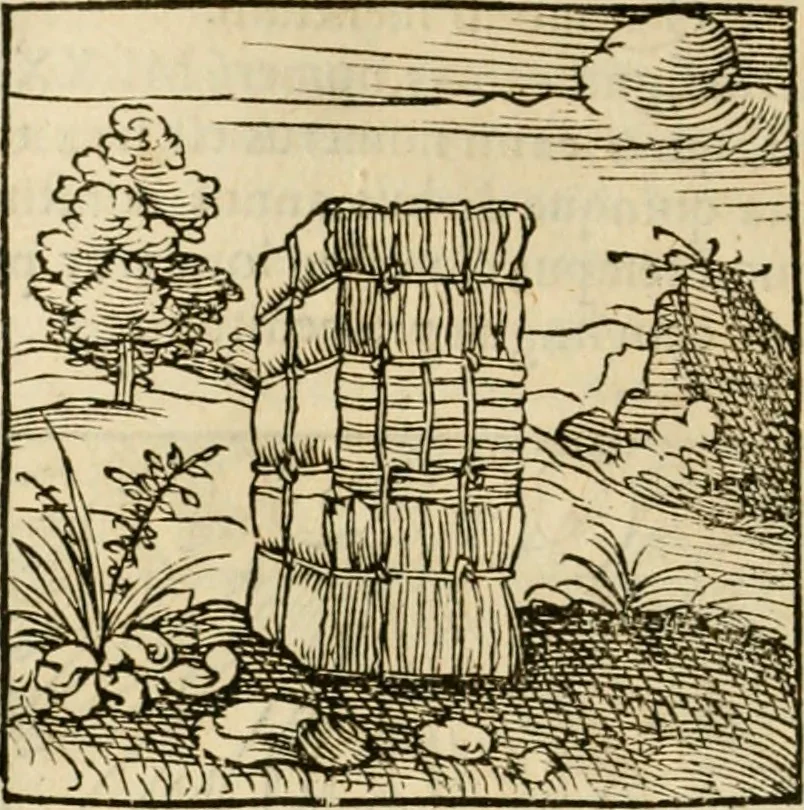 An illustration from Horou Apollonos neiloou Hieroglyphika = Ori Apollinis niliaci, De sacris notis & sculpturis libri duo, 1551, leaf 71