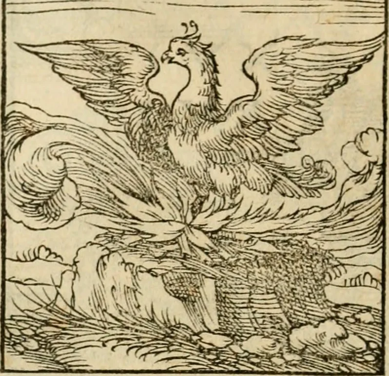 An illustration from Horou Apollonos neiloou Hieroglyphika = Ori Apollinis niliaci, De sacris notis & sculpturis libri duo, 1551, leaf 75