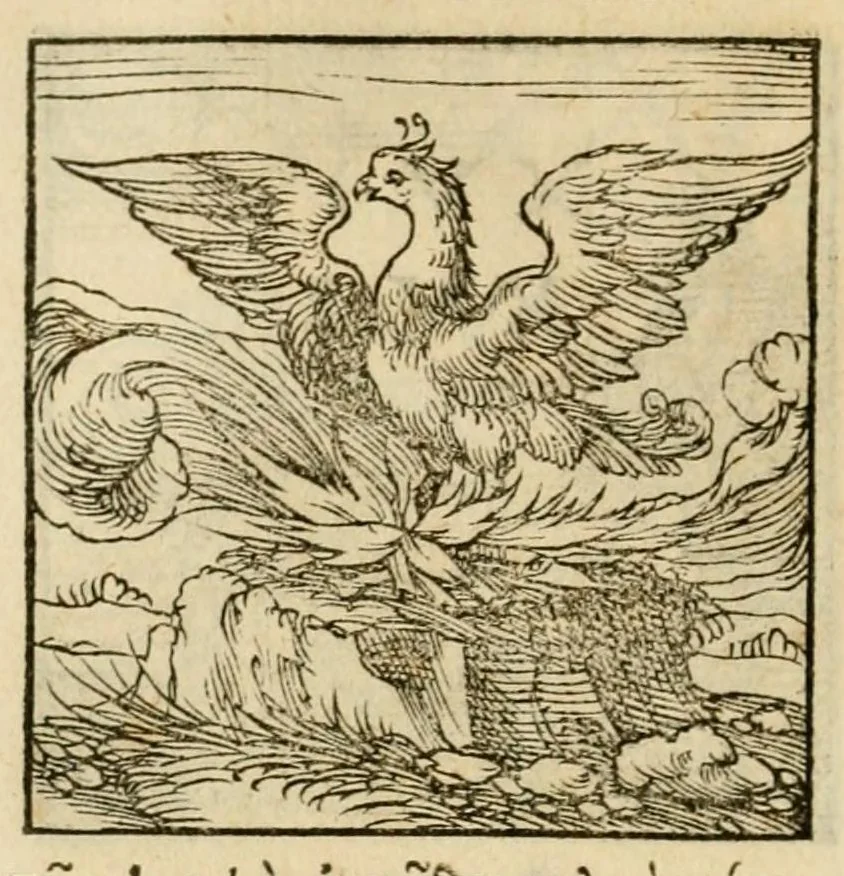 An illustration from Horou Apollonos neiloou Hieroglyphika = Ori Apollinis niliaci, De sacris notis & sculpturis libri duo, 1551, leaf 76