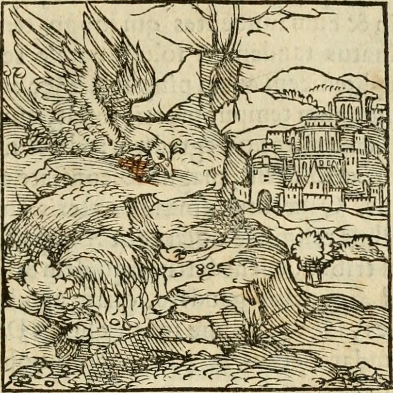 An illustration from Horou Apollonos neiloou Hieroglyphika = Ori Apollinis niliaci, De sacris notis & sculpturis libri duo, 1551, leaf 76