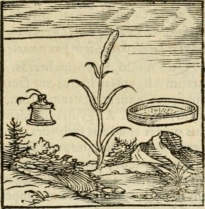 An illustration from Horou Apollonos neiloou Hieroglyphika = Ori Apollinis niliaci, De sacris notis & sculpturis libri duo, 1551, leaf 80
