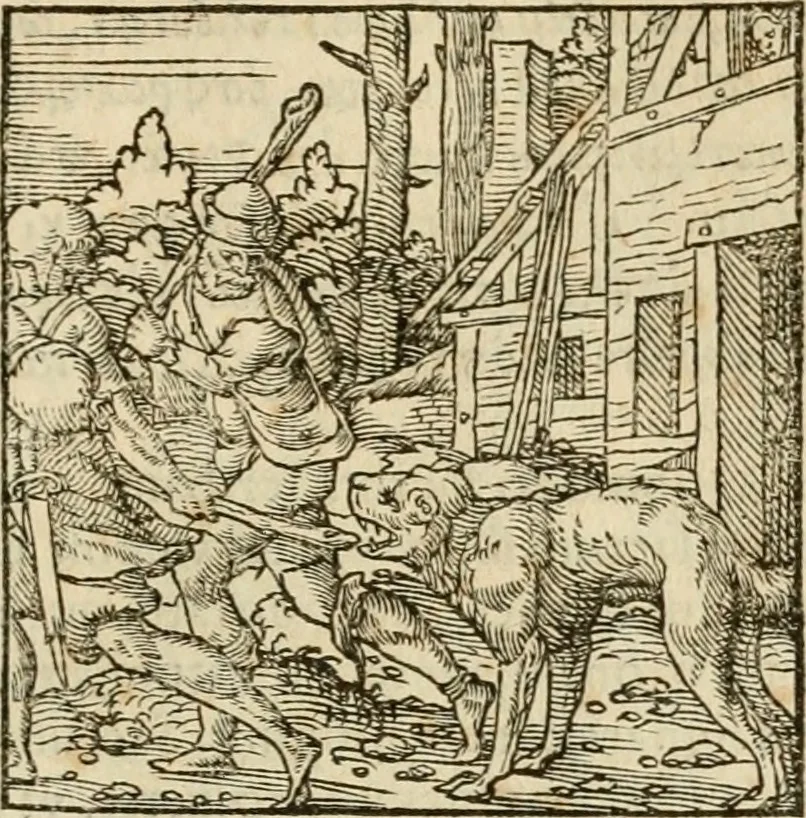An illustration from Horou Apollonos neiloou Hieroglyphika = Ori Apollinis niliaci, De sacris notis & sculpturis libri duo, 1551, leaf 82