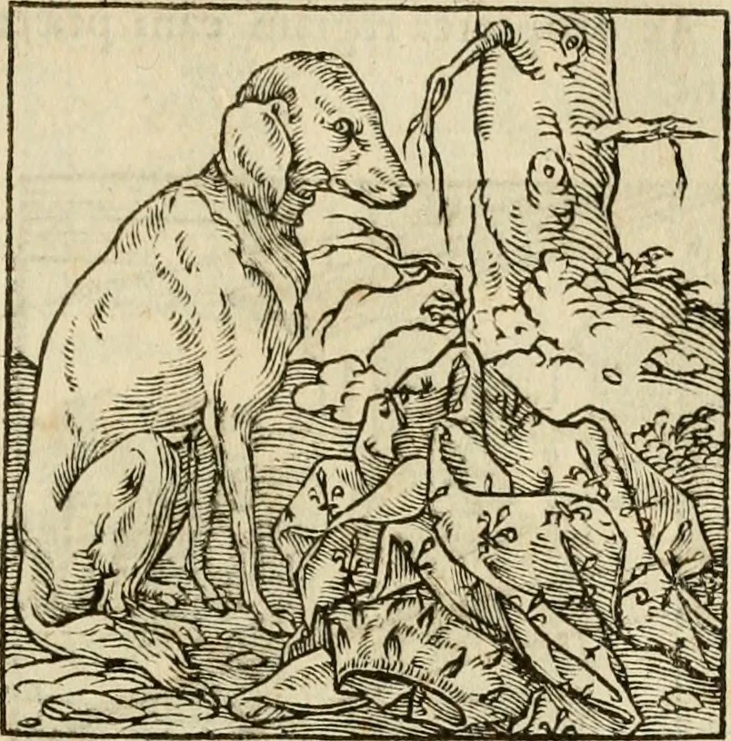 An illustration from Horou Apollonos neiloou Hieroglyphika = Ori Apollinis niliaci, De sacris notis & sculpturis libri duo, 1551, leaf 84