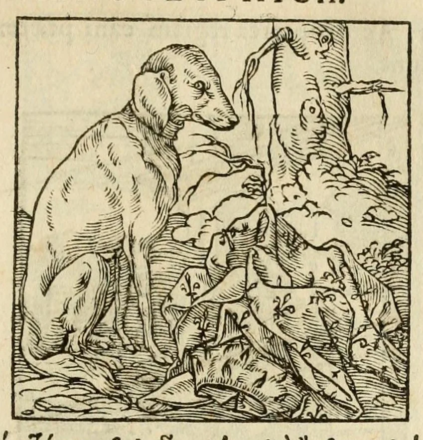 An illustration from Horou Apollonos neiloou Hieroglyphika = Ori Apollinis niliaci, De sacris notis & sculpturis libri duo, 1551, leaf 85