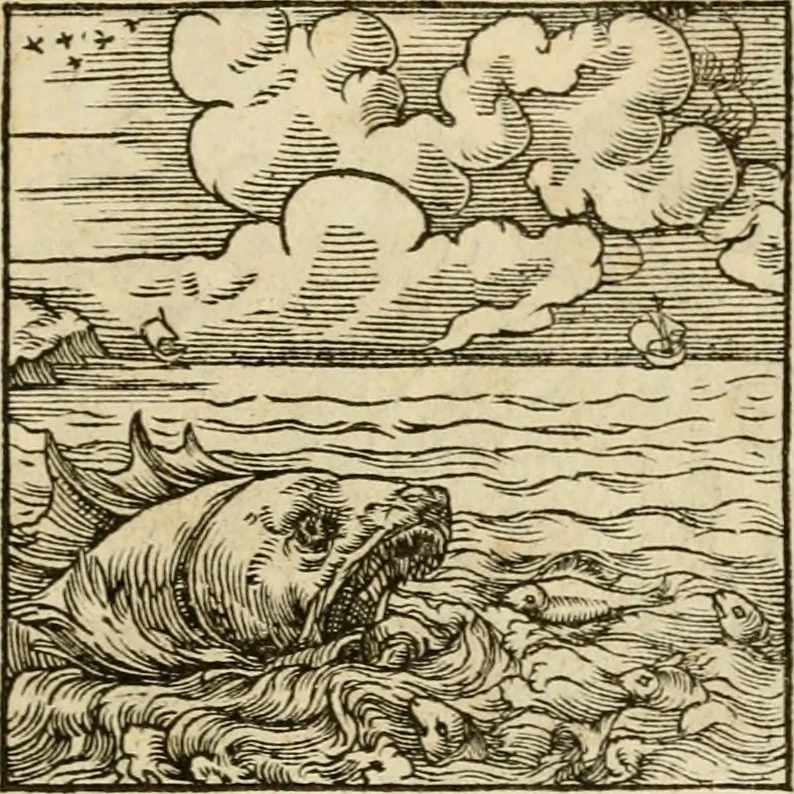 An illustration from Horou Apollonos neiloou Hieroglyphika = Ori Apollinis niliaci, De sacris notis & sculpturis libri duo, 1551, leaf 88