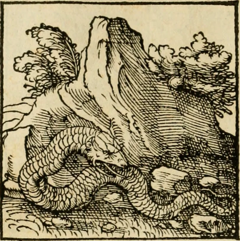 An illustration from Horou Apollonos neiloou Hieroglyphika = Ori Apollinis niliaci, De sacris notis & sculpturis libri duo, 1551, leaf 89