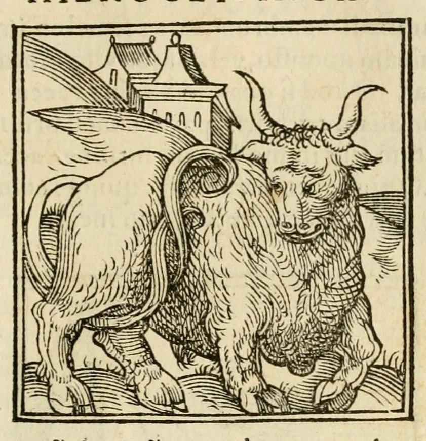 An illustration from Horou Apollonos neiloou Hieroglyphika = Ori Apollinis niliaci, De sacris notis & sculpturis libri duo, 1551, leaf 91