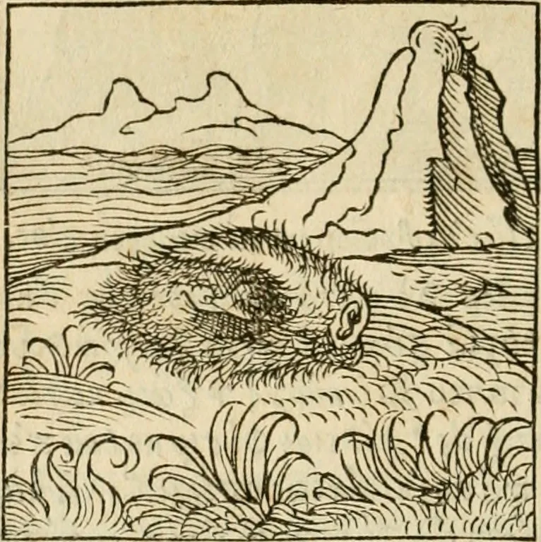 An illustration from Horou Apollonos neiloou Hieroglyphika = Ori Apollinis niliaci, De sacris notis & sculpturis libri duo, 1551, leaf 91