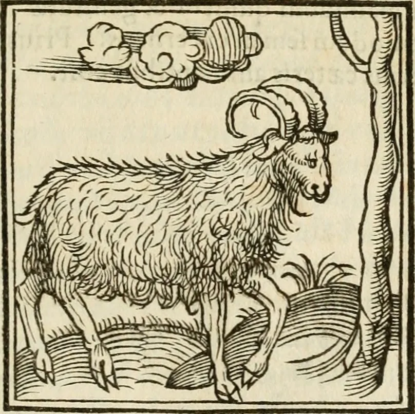 An illustration from Horou Apollonos neiloou Hieroglyphika = Ori Apollinis niliaci, De sacris notis & sculpturis libri duo, 1551, leaf 92