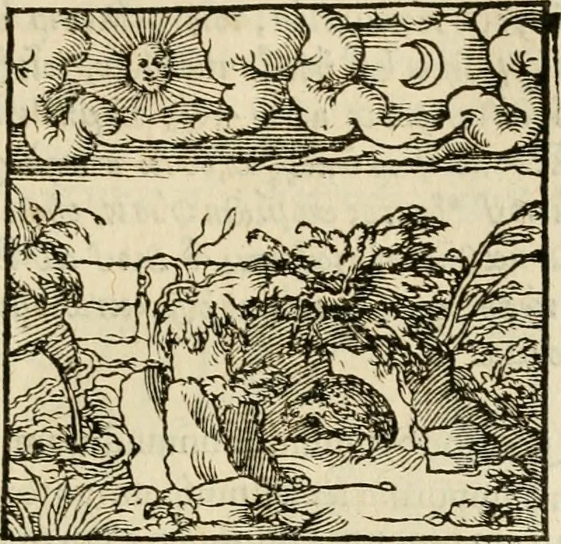 An illustration from Horou Apollonos neiloou Hieroglyphika = Ori Apollinis niliaci, De sacris notis & sculpturis libri duo, 1551, leaf 94
