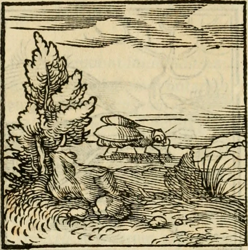 An illustration from Horou Apollonos neiloou Hieroglyphika = Ori Apollinis niliaci, De sacris notis & sculpturis libri duo, 1551, leaf 97