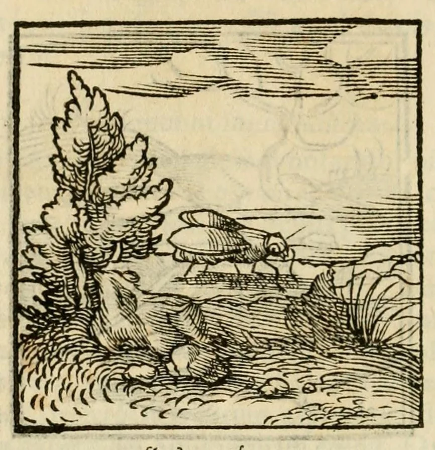 An illustration from Horou Apollonos neiloou Hieroglyphika = Ori Apollinis niliaci, De sacris notis & sculpturis libri duo, 1551, leaf 98