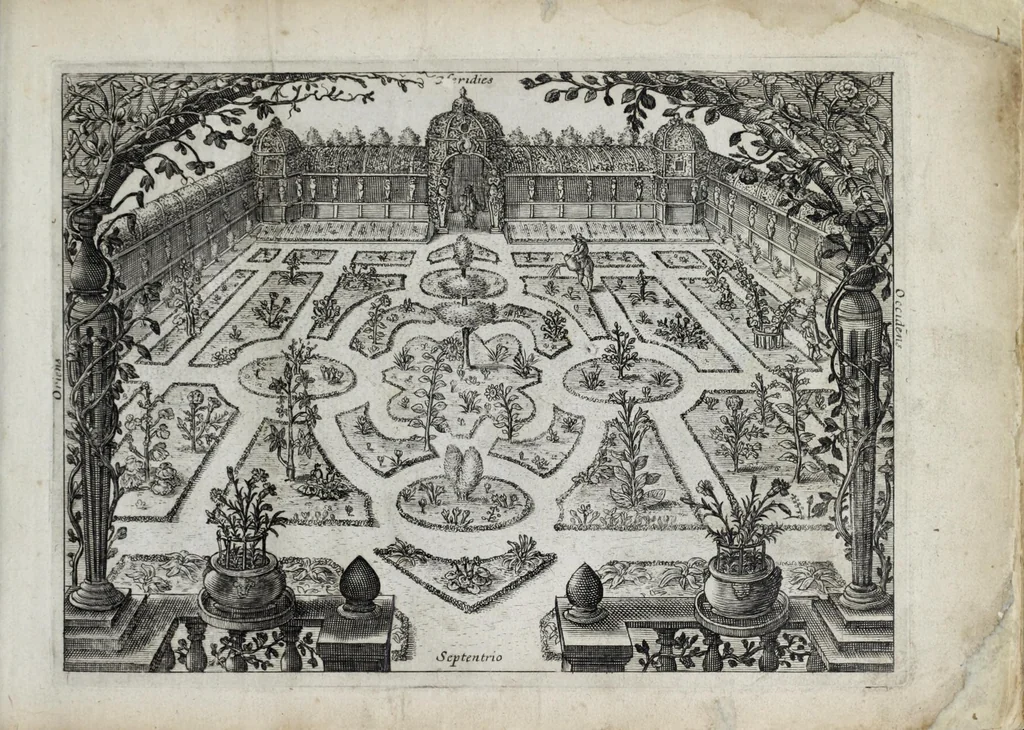 An illustration from Hortus floridus in quo rariorum & minus vulgarium florum icones ad vivam veramq[ue] formam accuratissime delineatae, et secundum quatuor anni tempora divisae exhibentur, 1614, leaf 11