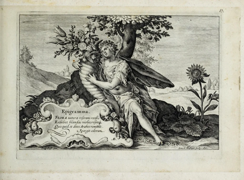 An illustration from Hortus floridus in quo rariorum & minus vulgarium florum icones ad vivam veramq[ue] formam accuratissime delineatae, et secundum quatuor anni tempora divisae exhibentur, 1614, leaf 203