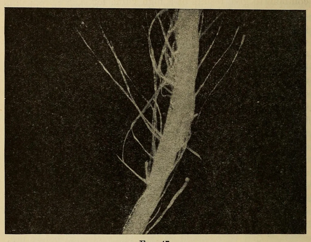 An illustration from Hosiery manufacture, 1920, leaf 102