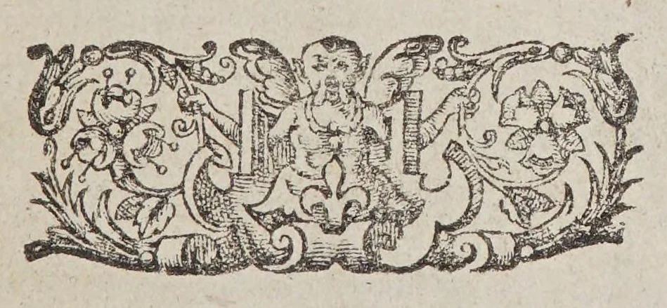 An illustration from An houre glasse of Indian newes. Or A true and tragicall discourse, shewing the most lamentable miseries, and distressed calamities indured by 67 Englishmen, which were sent for a supply to the planting in Guiana in the yeare. 1605. : VVho not finding the saide place, were for want of victuall, left a shore in Saint Lucia, an island of caniballs, or men-eaters in the West-Indyes, vnder the conduct of Captain Sen-Iohns, of all which said number, onely a 11. are supposed to be still liuing, whereof 4. are lately returnd into England., 1607, leaf 13