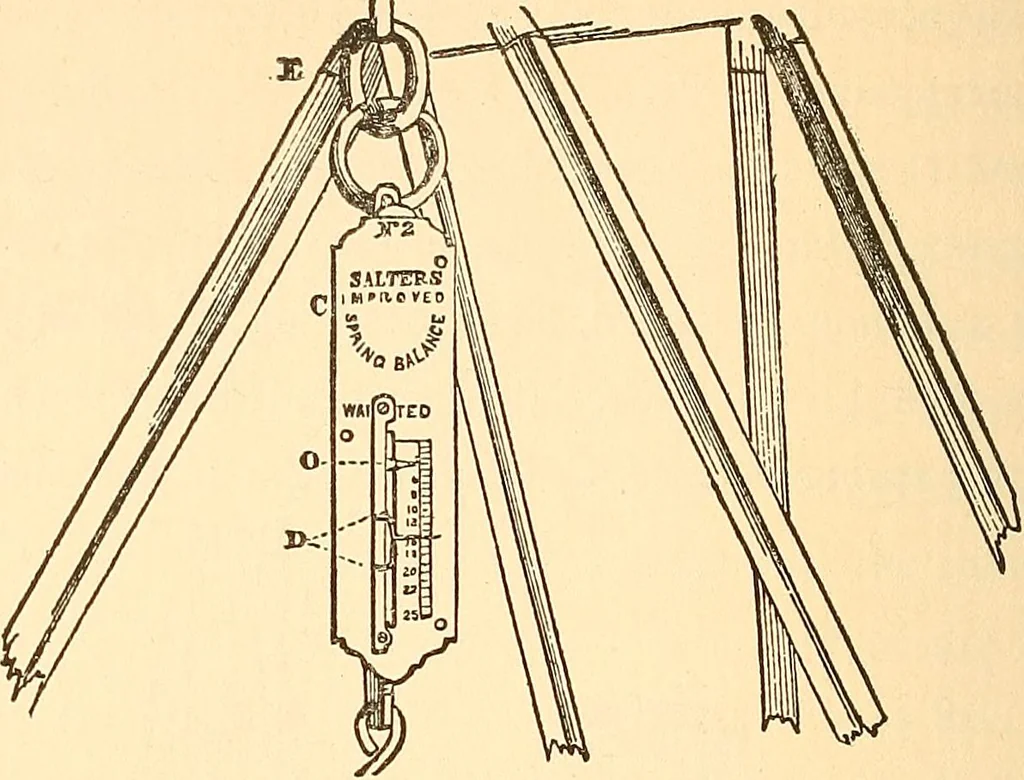 An illustration from Hours with the ghosts, or, Nineteenth century witchcraft : illustrated investigations into the phenomena of spiritualism and theosophy, 1897, leaf 123