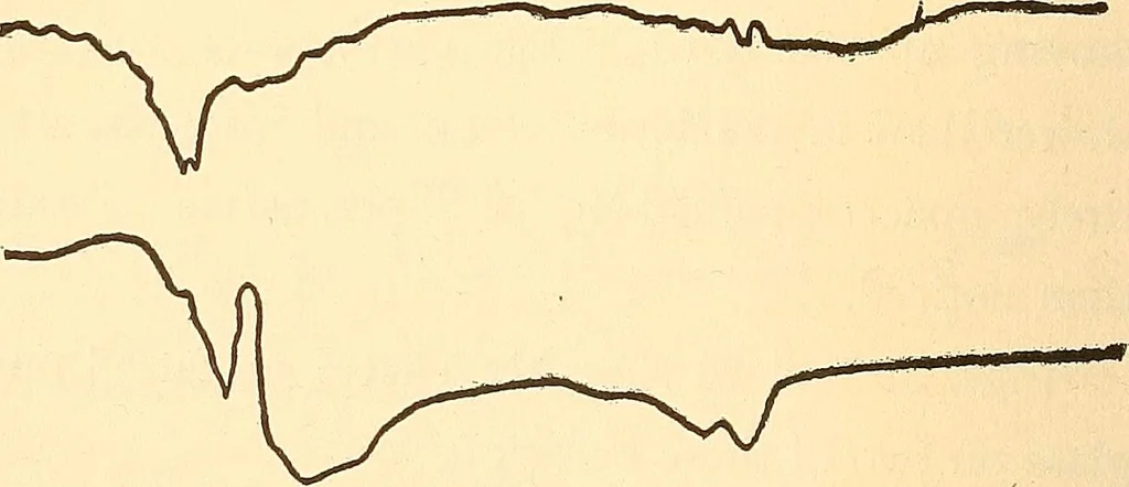 An illustration from Hours with the ghosts, or, Nineteenth century witchcraft : illustrated investigations into the phenomena of spiritualism and theosophy, 1897, leaf 133