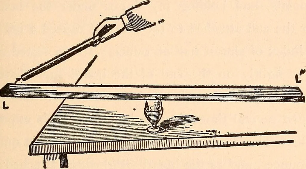 An illustration from Hours with the ghosts, or, Nineteenth century witchcraft : illustrated investigations into the phenomena of spiritualism and theosophy, 1897, leaf 136