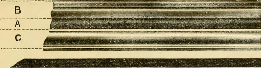 An illustration from House decoration : comprising whitewashing, paperhanging, painting, etc., 1897, leaf 148