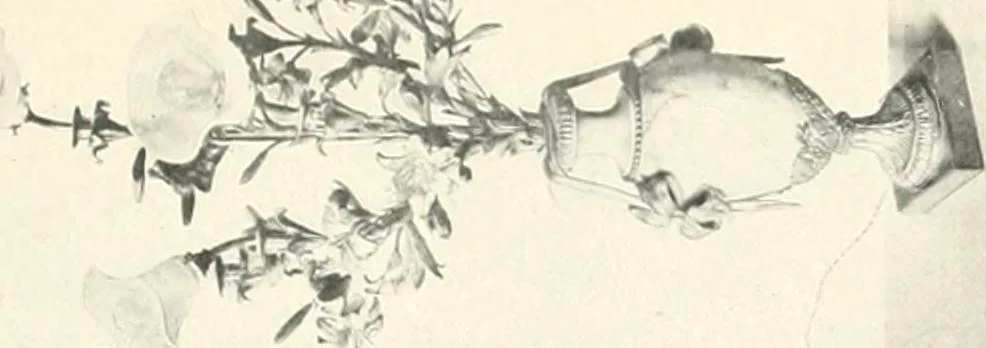 An illustration from The house dignified; its design, its arrangement and its decoration, 1908, leaf 254