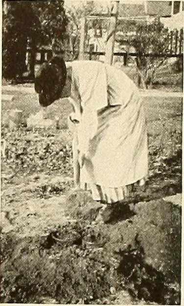 An illustration from House & garden's book of gardens; containing over four hundred illustrations of special flower types, plans and suggestions for landscape work, a complete gardener's calendar of the year's activities, planting and spraying tables, and a portfolio of beautiful gardens in varied sections of the United States and foreign countries, 1921, leaf 102