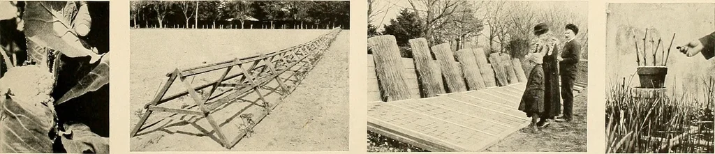 An illustration from House & garden's book of gardens; containing over four hundred illustrations of special flower types, plans and suggestions for landscape work, a complete gardener's calendar of the year's activities, planting and spraying tables, and a portfolio of beautiful gardens in varied sections of the United States and foreign countries, 1921, leaf 102