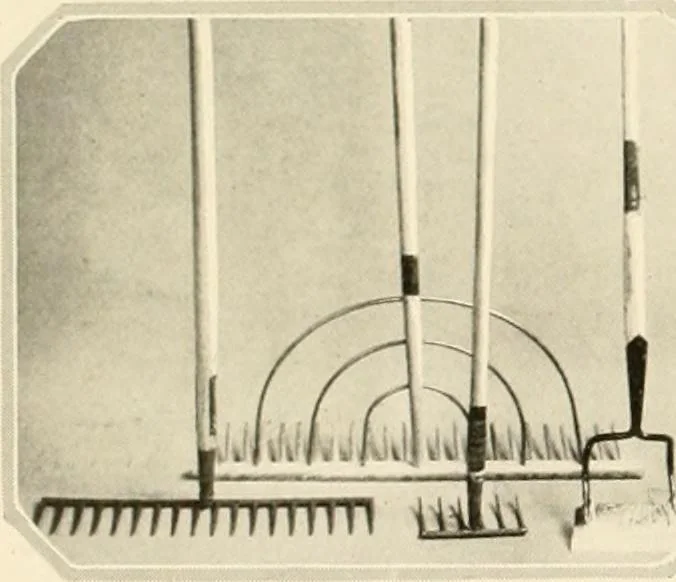 An illustration from House & garden's book of gardens; containing over four hundred illustrations of special flower types, plans and suggestions for landscape work, a complete gardener's calendar of the year's activities, planting and spraying tables, and a portfolio of beautiful gardens in varied sections of the United States and foreign countries, 1921, leaf 103