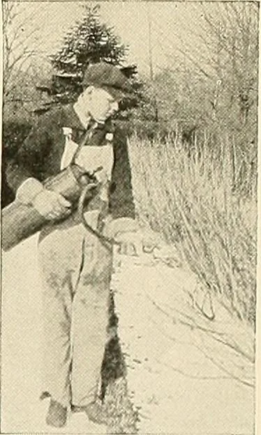 An illustration from House & garden's book of gardens; containing over four hundred illustrations of special flower types, plans and suggestions for landscape work, a complete gardener's calendar of the year's activities, planting and spraying tables, and a portfolio of beautiful gardens in varied sections of the United States and foreign countries, 1921, leaf 104