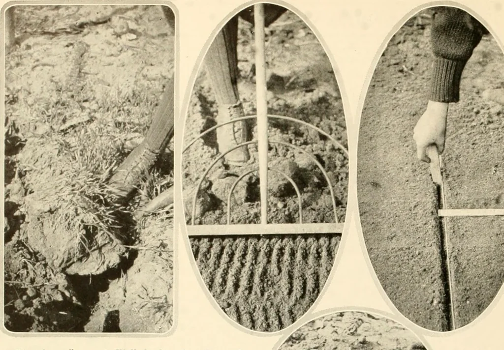 An illustration from House & garden's book of gardens; containing over four hundred illustrations of special flower types, plans and suggestions for landscape work, a complete gardener's calendar of the year's activities, planting and spraying tables, and a portfolio of beautiful gardens in varied sections of the United States and foreign countries, 1921, leaf 105