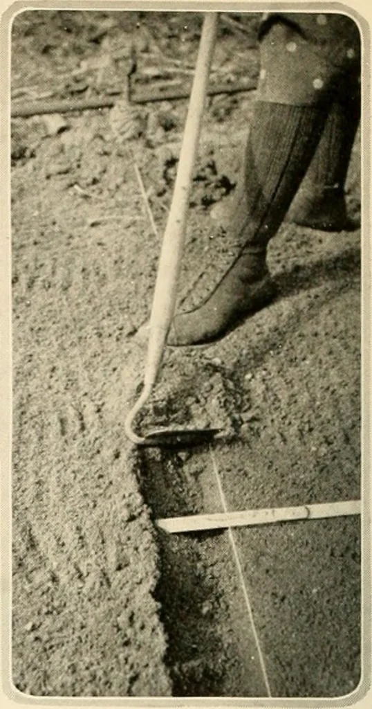 An illustration from House & garden's book of gardens; containing over four hundred illustrations of special flower types, plans and suggestions for landscape work, a complete gardener's calendar of the year's activities, planting and spraying tables, and a portfolio of beautiful gardens in varied sections of the United States and foreign countries, 1921, leaf 105