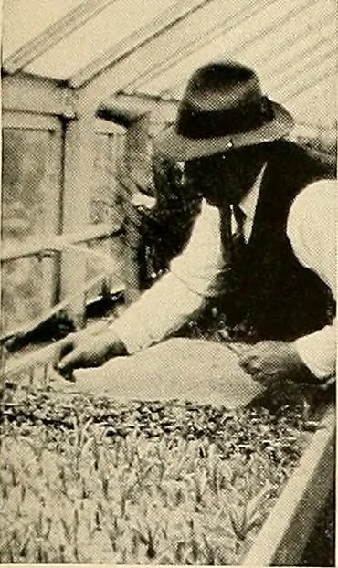An illustration from House & garden's book of gardens; containing over four hundred illustrations of special flower types, plans and suggestions for landscape work, a complete gardener's calendar of the year's activities, planting and spraying tables, and a portfolio of beautiful gardens in varied sections of the United States and foreign countries, 1921, leaf 106