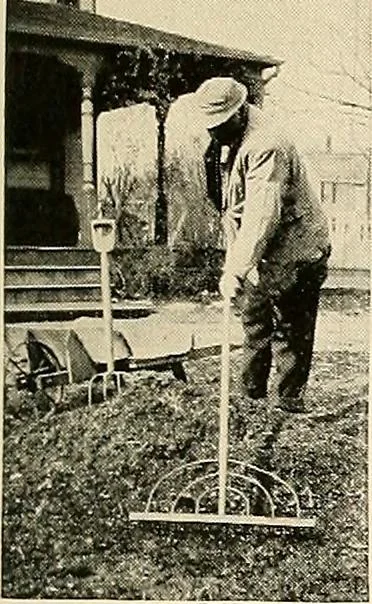 An illustration from House & garden's book of gardens; containing over four hundred illustrations of special flower types, plans and suggestions for landscape work, a complete gardener's calendar of the year's activities, planting and spraying tables, and a portfolio of beautiful gardens in varied sections of the United States and foreign countries, 1921, leaf 106