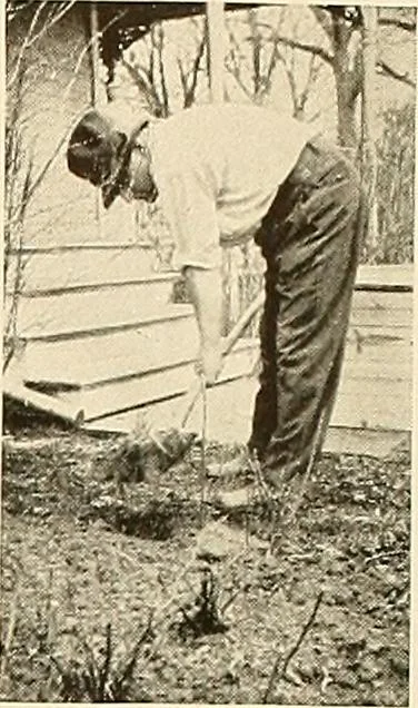 An illustration from House & garden's book of gardens; containing over four hundred illustrations of special flower types, plans and suggestions for landscape work, a complete gardener's calendar of the year's activities, planting and spraying tables, and a portfolio of beautiful gardens in varied sections of the United States and foreign countries, 1921, leaf 106
