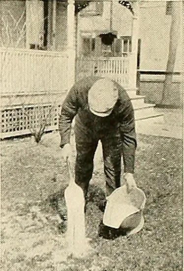 An illustration from House & garden's book of gardens; containing over four hundred illustrations of special flower types, plans and suggestions for landscape work, a complete gardener's calendar of the year's activities, planting and spraying tables, and a portfolio of beautiful gardens in varied sections of the United States and foreign countries, 1921, leaf 106