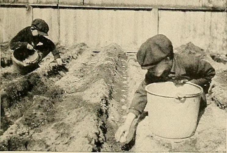 An illustration from House & garden's book of gardens; containing over four hundred illustrations of special flower types, plans and suggestions for landscape work, a complete gardener's calendar of the year's activities, planting and spraying tables, and a portfolio of beautiful gardens in varied sections of the United States and foreign countries, 1921, leaf 106