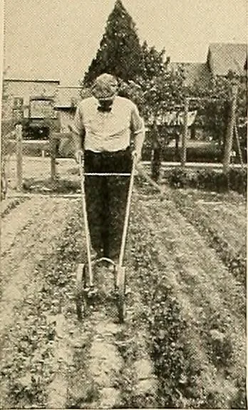 An illustration from House & garden's book of gardens; containing over four hundred illustrations of special flower types, plans and suggestions for landscape work, a complete gardener's calendar of the year's activities, planting and spraying tables, and a portfolio of beautiful gardens in varied sections of the United States and foreign countries, 1921, leaf 108