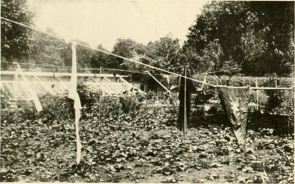An illustration from House & garden's book of gardens; containing over four hundred illustrations of special flower types, plans and suggestions for landscape work, a complete gardener's calendar of the year's activities, planting and spraying tables, and a portfolio of beautiful gardens in varied sections of the United States and foreign countries, 1921, leaf 109