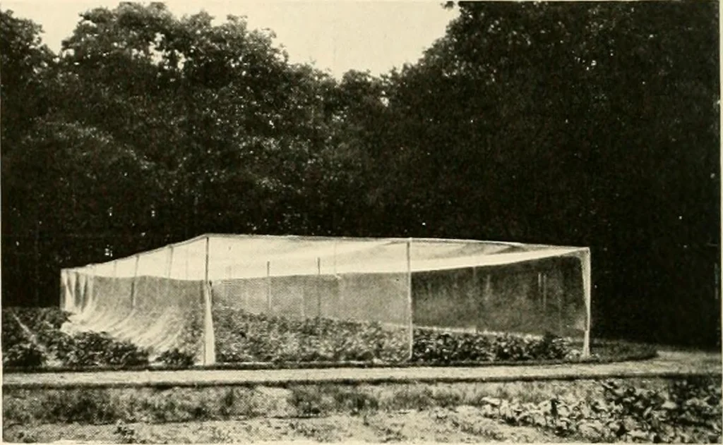 An illustration from House & garden's book of gardens; containing over four hundred illustrations of special flower types, plans and suggestions for landscape work, a complete gardener's calendar of the year's activities, planting and spraying tables, and a portfolio of beautiful gardens in varied sections of the United States and foreign countries, 1921, leaf 109
