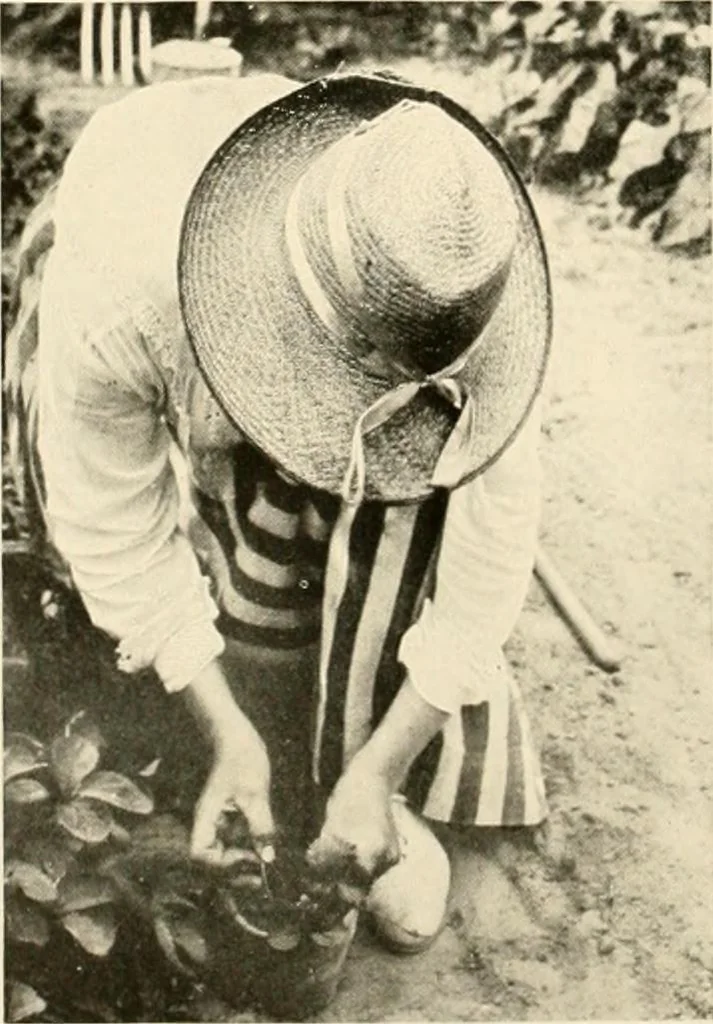 An illustration from House & garden's book of gardens; containing over four hundred illustrations of special flower types, plans and suggestions for landscape work, a complete gardener's calendar of the year's activities, planting and spraying tables, and a portfolio of beautiful gardens in varied sections of the United States and foreign countries, 1921, leaf 109