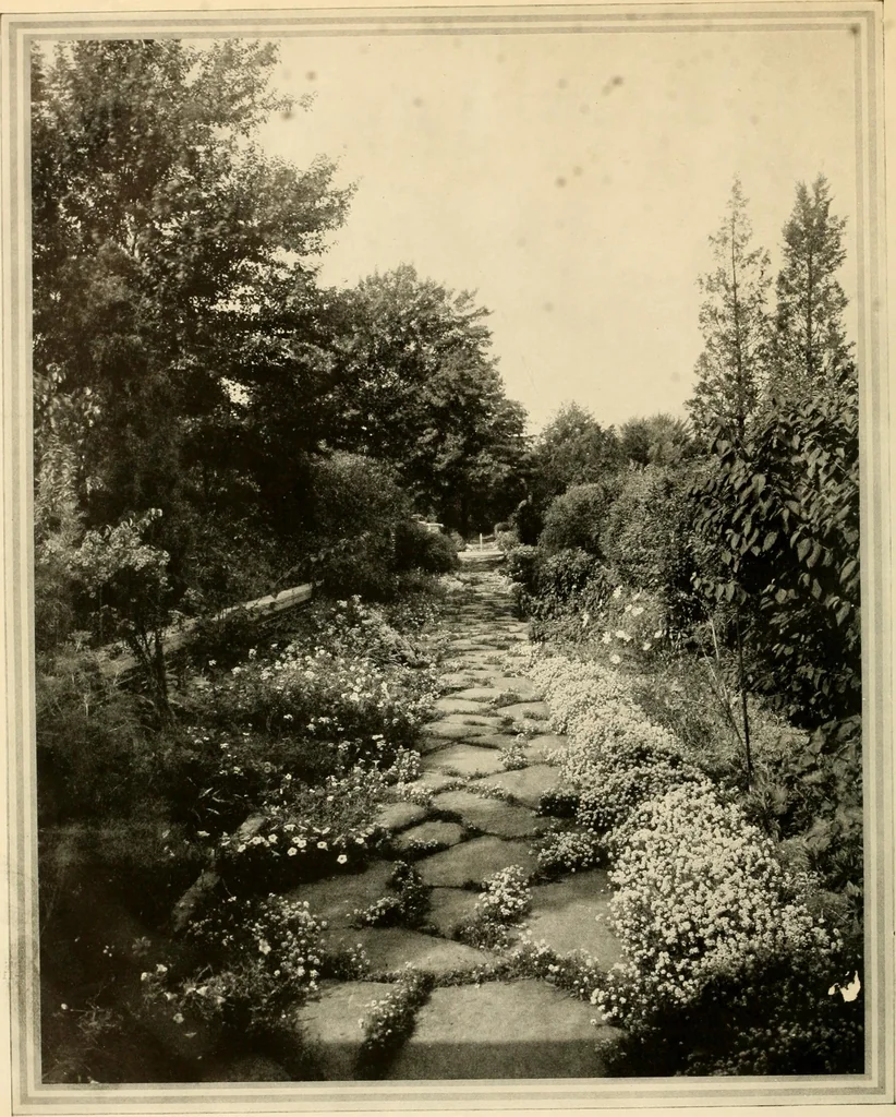 An illustration from House & garden's book of gardens; containing over four hundred illustrations of special flower types, plans and suggestions for landscape work, a complete gardener's calendar of the year's activities, planting and spraying tables, and a portfolio of beautiful gardens in varied sections of the United States and foreign countries, 1921, leaf 11