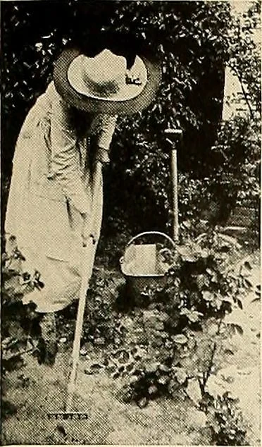 An illustration from House & garden's book of gardens; containing over four hundred illustrations of special flower types, plans and suggestions for landscape work, a complete gardener's calendar of the year's activities, planting and spraying tables, and a portfolio of beautiful gardens in varied sections of the United States and foreign countries, 1921, leaf 110
