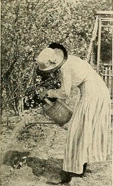 An illustration from House & garden's book of gardens; containing over four hundred illustrations of special flower types, plans and suggestions for landscape work, a complete gardener's calendar of the year's activities, planting and spraying tables, and a portfolio of beautiful gardens in varied sections of the United States and foreign countries, 1921, leaf 110