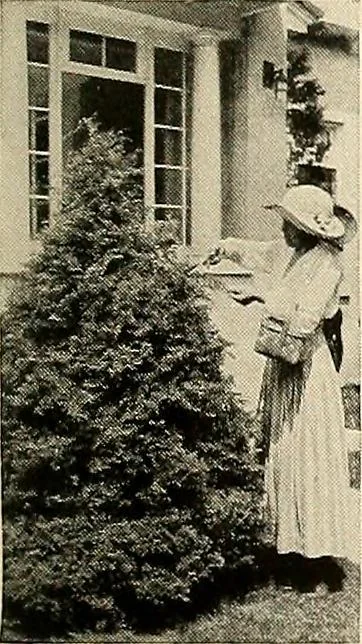 An illustration from House & garden's book of gardens; containing over four hundred illustrations of special flower types, plans and suggestions for landscape work, a complete gardener's calendar of the year's activities, planting and spraying tables, and a portfolio of beautiful gardens in varied sections of the United States and foreign countries, 1921, leaf 110