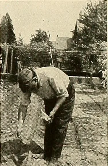 An illustration from House & garden's book of gardens; containing over four hundred illustrations of special flower types, plans and suggestions for landscape work, a complete gardener's calendar of the year's activities, planting and spraying tables, and a portfolio of beautiful gardens in varied sections of the United States and foreign countries, 1921, leaf 110