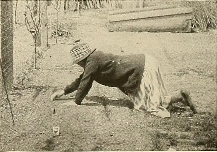 An illustration from House & garden's book of gardens; containing over four hundred illustrations of special flower types, plans and suggestions for landscape work, a complete gardener's calendar of the year's activities, planting and spraying tables, and a portfolio of beautiful gardens in varied sections of the United States and foreign countries, 1921, leaf 110