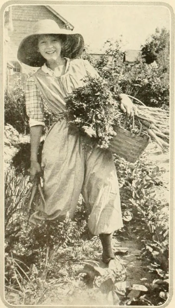 An illustration from House & garden's book of gardens; containing over four hundred illustrations of special flower types, plans and suggestions for landscape work, a complete gardener's calendar of the year's activities, planting and spraying tables, and a portfolio of beautiful gardens in varied sections of the United States and foreign countries, 1921, leaf 111
